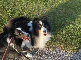 ninetips-about画像