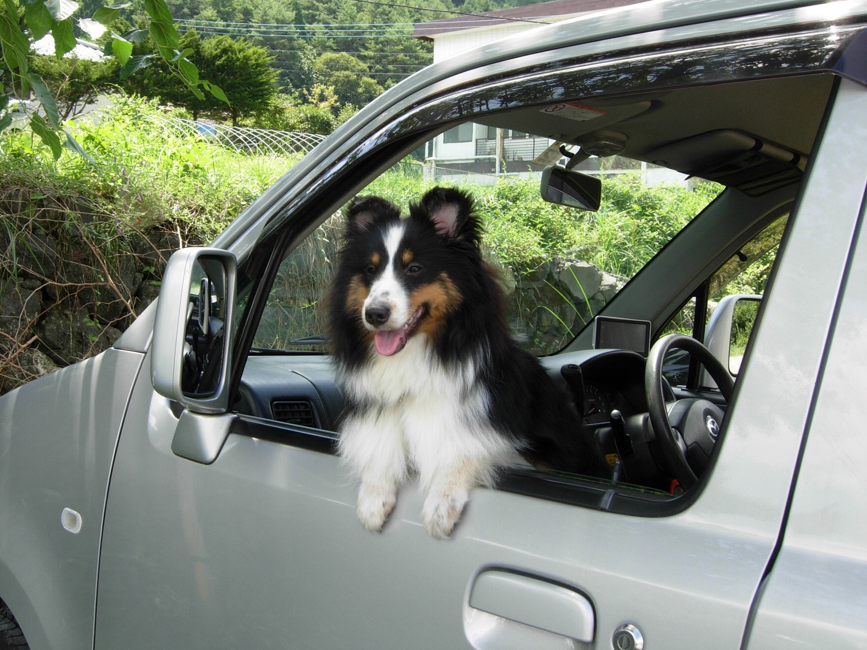 ninetips-about画像